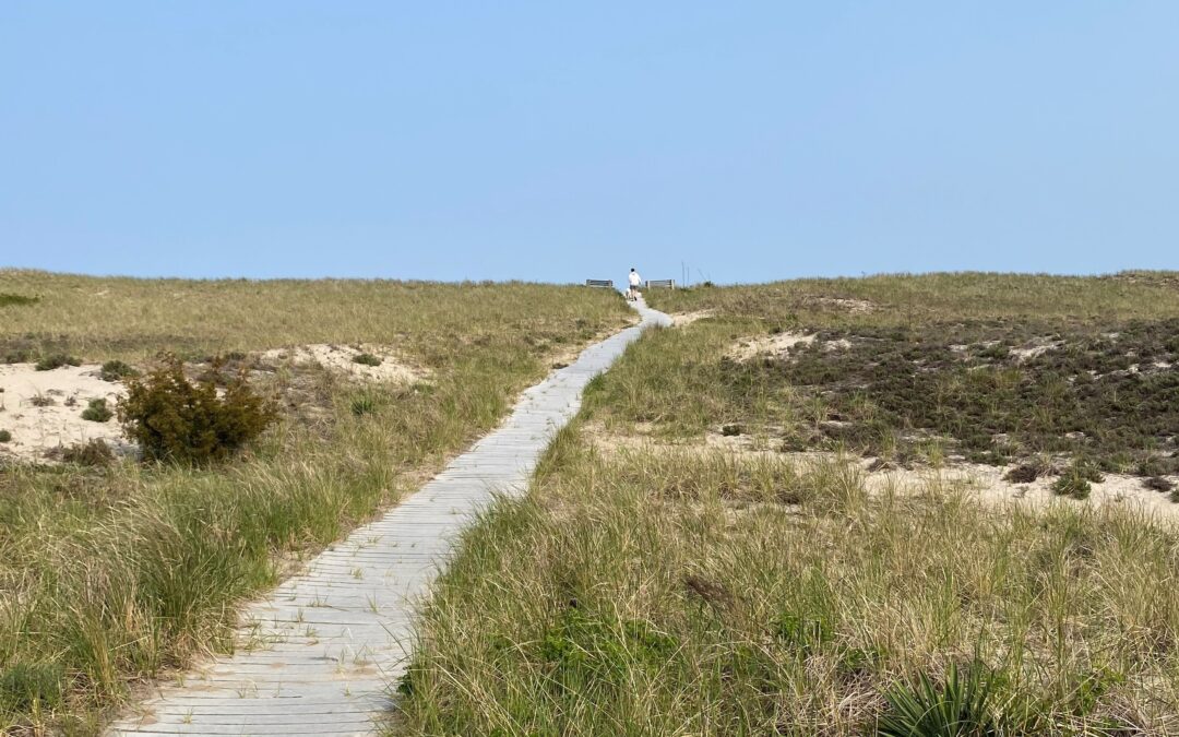 Seabrook’s Dune Walkways Under Evaluation for Safety, Accessibility, and Environmental Protection